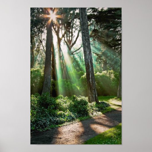 strahlend poster (Vorne)