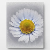 strahlend weiß fotoplatte (Vorderseite)