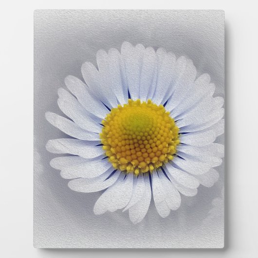 strahlend weiß fotoplatte (Vorderseite)