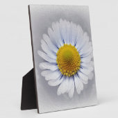 strahlend weiß fotoplatte (Seite)