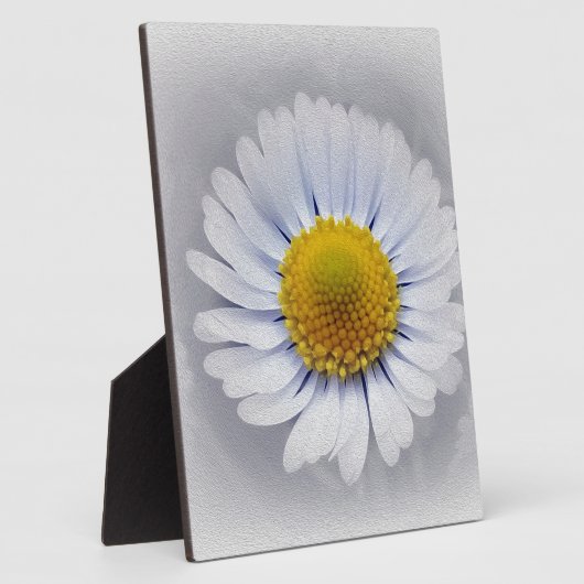 strahlend weiß fotoplatte (Seite)