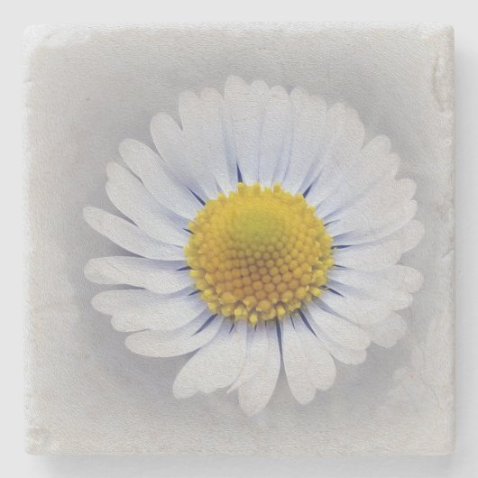 strahlend weiß steinuntersetzer (Vorderseite)