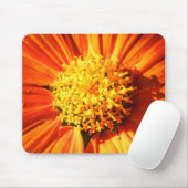 Strahlende Orange Blume Makro Mauspad Foto (Mit Mouse)