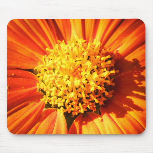 Strahlende Orange Blume Makro Mauspad Foto (Vorne)