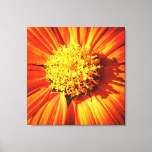 Strahlende Orange Blume Makro-Wandkunst Druck Foto Leinwanddruck