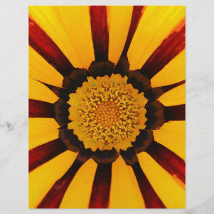 Strahlende Schatzblume Botanisches Foto Flyer