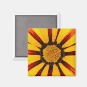 Strahlende Schatzblume Botanisches Foto Magnet (Vorderseite/Rückseite)