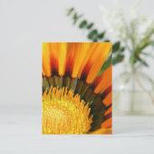 Strahlende Schatzblume Botanisches Foto Postkarte (Stehend Vorderseite)