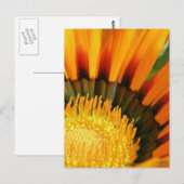 Strahlende Schatzblume Botanisches Foto Postkarte (Vorne/Hinten)