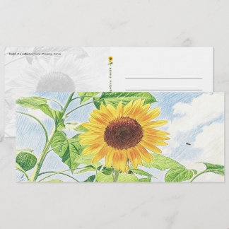 Strahlende Sonnenblumen-Skizze - Postkarte
