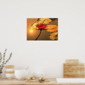 Strahlende Wasserlilie mit der Sonne reflektierend Poster (Küche)