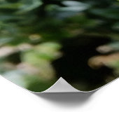 strahlende weiße Blume Poster (Ecke)