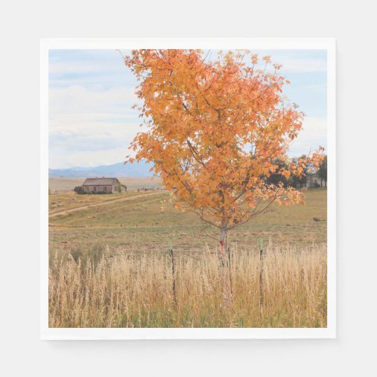 Strahlender Oktober Serviette (Vorderseite)