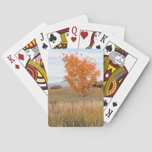 Strahlender Oktober Spielkarten (Rückseite)