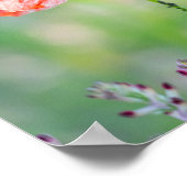 Strahlenroter Klatschmohn Poster (Ecke)