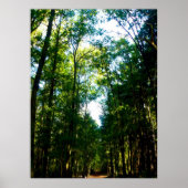 Straight and Narrow Poster (Vorne)