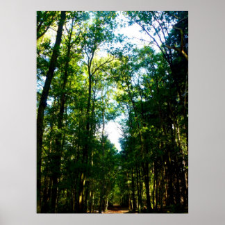 Straight and Narrow Poster