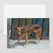 Straight-dog-Karte (Vorne/Hinten)