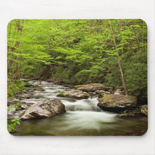 Straight Fork Fließt Durch Den Wald Mousepad (Vorne)