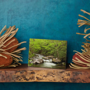 Straight Gabel fließt durch den Wald Fotoplatte