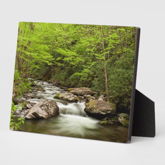 Straight Gabel fließt durch den Wald Fotoplatte (Seite)