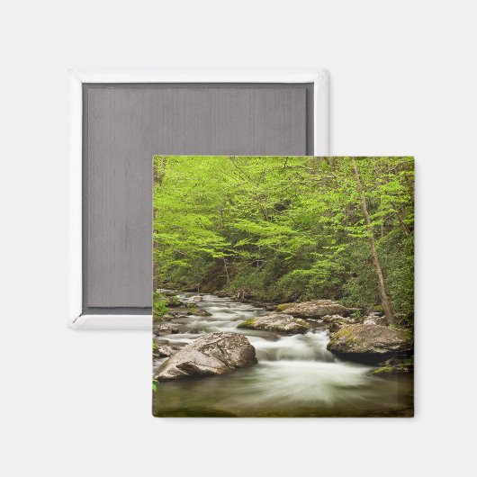 Straight Gabel fließt durch den Wald Magnet (Vorderseite/Rückseite)