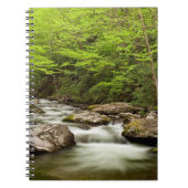 Straight Gabel fließt durch den Wald Notizblock (Vorderseite)
