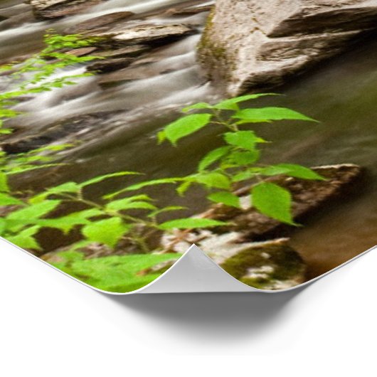 Straight Gabel fließt durch den Wald Poster (Ecke)