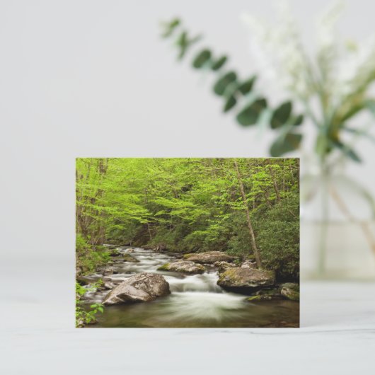 Straight Gabel fließt durch den Wald Postkarte (Stehend Vorderseite)