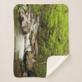 Straight Gabel fließt durch den Wald Sherpadecke (Vorderseite)