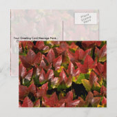 Strampler an der Wand Postkarte (Vorne/Hinten)