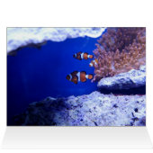 Strand (Innenansicht Horizontal (Oben))