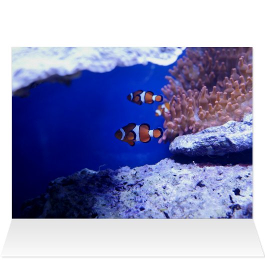 Strand (Innenansicht Horizontal (Oben))