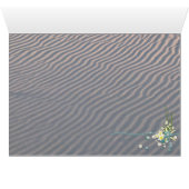Strand (Innenansicht Horizontal (Unten))