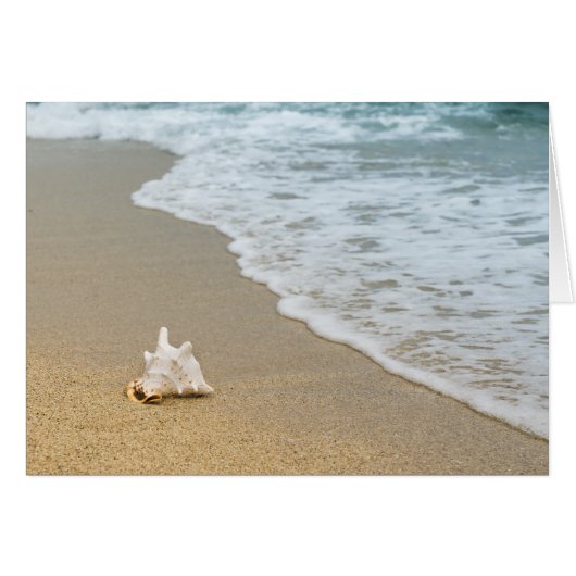 Strand (Vorderseite (Horizontal))