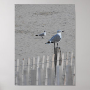 Strand ~ 25,5 poster