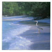 Strand 2 fliese (Vorderseite)