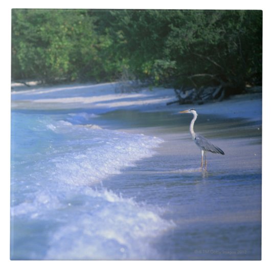 Strand 2 fliese (Vorderseite)