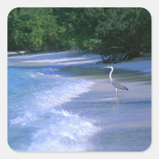 Strand 2 quadratischer aufkleber (Vorderseite)