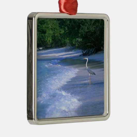 Strand 2 silbernes ornament (Rechts)