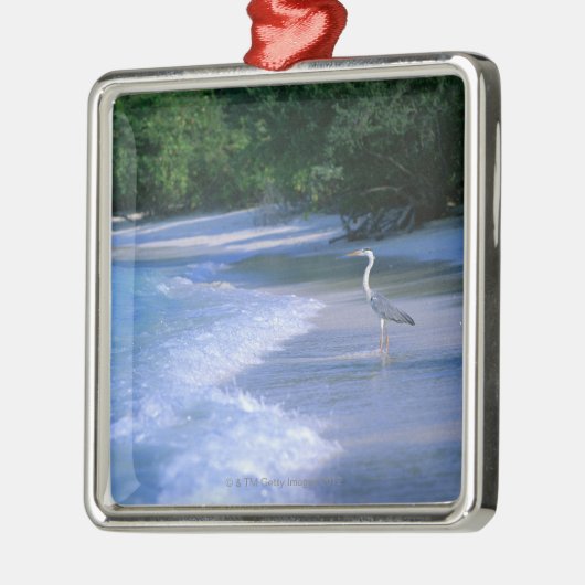 Strand 2 silbernes ornament (Links)