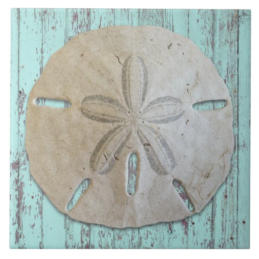 Strand Ästhetik Sanddollar Dekor Fliese (Vorderseite)
