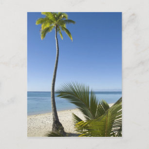 Strand auf dem Festland von Aitutaki, Cookinseln Postkarte