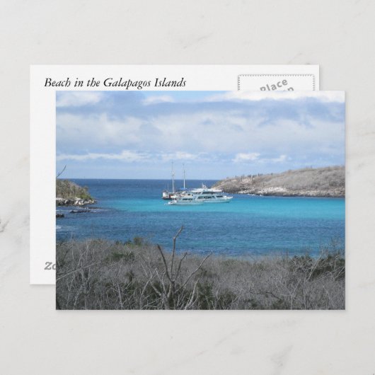 Strand auf den Galapagos-Inseln Postkarte (Vorne/Hinten)