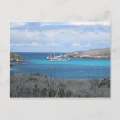 Strand auf den Galapagos-Inseln Postkarte (Vorderseite)