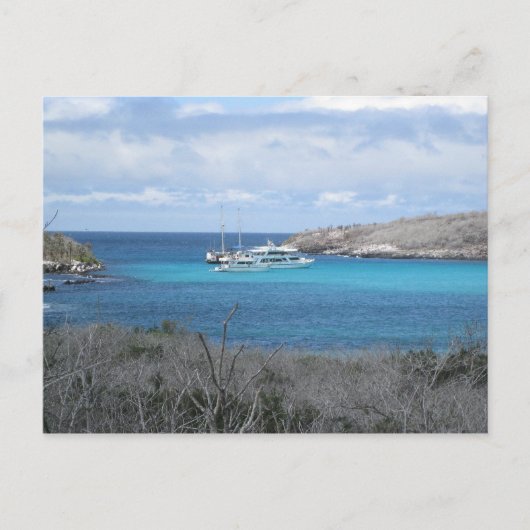Strand auf den Galapagos-Inseln Postkarte (Vorderseite)