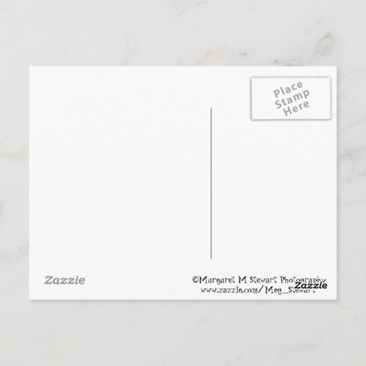 Strand auf der Erde Postkarte (Rückseite)