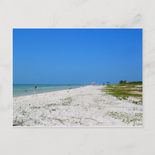 Strand auf der Insel Sanibel Postkarte