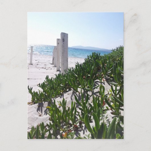 Strand bei Alghero Sardinien - Postkarte (Vorderseite)