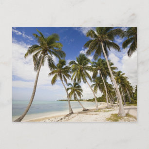 Strand bei Punta Cana Postkarte